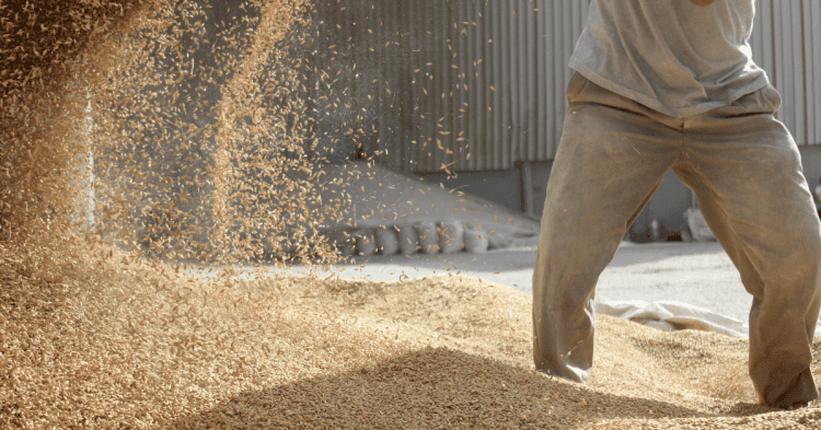 Inversión en Soria para el crecimiento económico local, promoviendo oportunidades de negocio y desar.