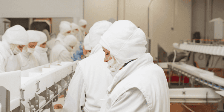 Trabajadores en una fábrica en Soria, en proceso de producción alimentaria.