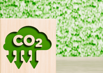 Símbolo de CO₂ verde y ecológico en un bloque de madera con fondo de plantas.