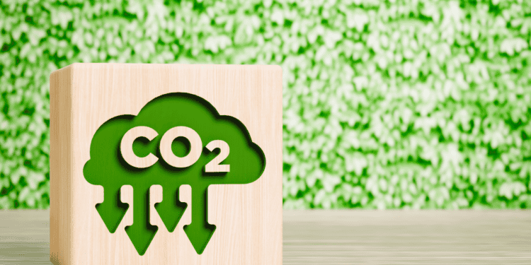 Símbolo de CO₂ verde y ecológico en un bloque de madera con fondo de plantas.