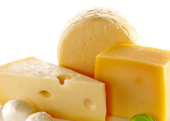 Quesos variados en primer plano, productos lácteos en Soria.
