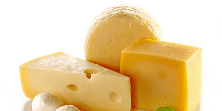 Quesos variados en primer plano, productos lácteos en Soria.